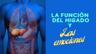 La función del hígado y las emociones #órganos