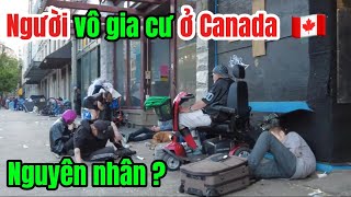 Người vô gia cư ở Ca na Đa | Nguyên nhân | qua cửa khẩu Canada