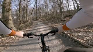 MTB easy ride in the "Houssière" forest. April 2020. 2.7K 60fps