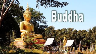 Buddhist Teachings and Inner Self; The Buddha Priest In Meditation