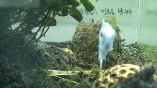 [1029참사 추모 어항방송] Aquarium Live - 2023.03.09 Thu KST