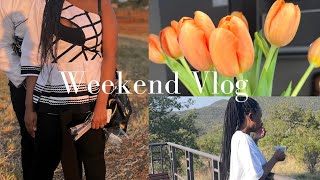 Vlog: Mediation|| Rushed wedding preps|| Sleeping on the streets|| SOUTH AFRICAN YOUTUBER