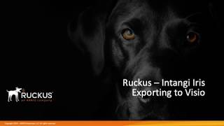 Ruckus - Intangi Iris Part 7 - Exporting to Visio