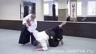 Айкидо Ивама Рю. Применение. Aikido Iwama Ryu. Application.