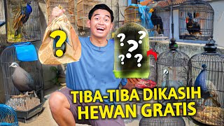 AKU TIBA-TIBA DIHIBAHIN HEWAN GRATIS! GACOR BANGET PADAHAL MASIH BOCIL!