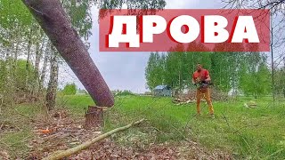 Заготавливаю дрова без бензина!