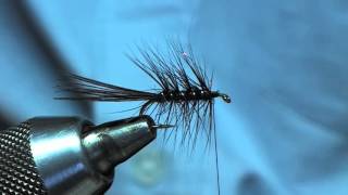 black dabbler.wmv