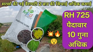 R.H.725 सरसो की बहतरीन किस्म | R.H. 725 Mustard Seeds Full details / R.H.725 Mustard hybrid variety