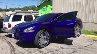 Candy Burple Maxima on 28s