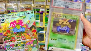 Day In The Life Of Japanese Pokémon Collector In Japan (EPISODE 13)