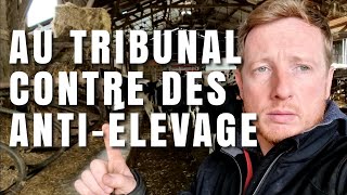 JE VAIS AU TRIBUNAL !!!