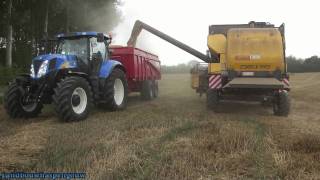 Landbouwhaspengouw- Tarwe dorsen met de New Holland CS640