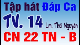 🔴 TV14 Lm. Thái Nguyên | CHÚA NHẬT 22 THƯỜNG NIÊN (năm B) | Tập Hát Đáp Ca