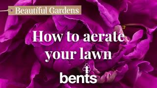 How to . . . aerate your lawn!