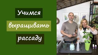 Учимся выращивать рассаду вместе