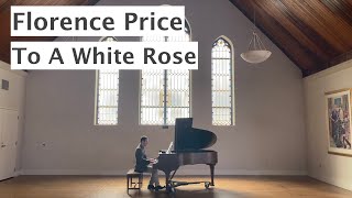 Florence Price "To A White Rose"