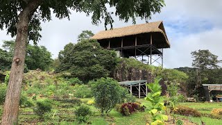 Alegria Village Jungle Walk San Mateo Costa Rica