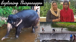 Thirparappu Falls | Exploring Thirparappu Falls | Elephant Bathing | Thirparappu aruvi  |Travel Vlog