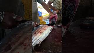 Dangerous Fish Tuna Fish Cutting Fastest Ways 😱 #shorts