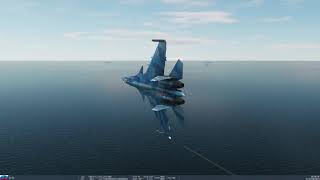 DCS World Su-33 vs some SM-2's