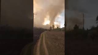 В Амурской области на месте пожара возник огненный вихрь