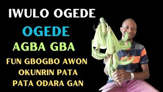 IWULO OGEDE ATI ISETO NSE LARA#viralvideo #subscribe #spirituality