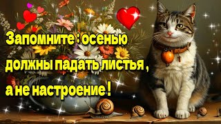 🌞☕💗Самого доброго осеннего  утра!🌞🥀Благословенного дня!💗Красивая музыкальная открыта