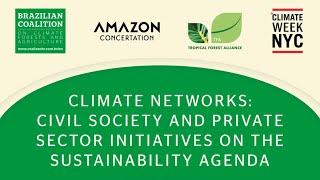 Redes pelo clima: iniciativas da sociedade civil e do setor privado na agenda da sustentabilidade