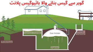 بائیوگیس پلانٹ لگائیں ! جانوروں کو سردی سے بچائیں