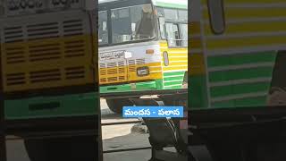 Apsrtc palasa to mandasa palle velugu bus #shorts