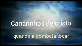 Canarinhos de cristo(Quando a trombeta tocar) Letra