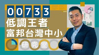 低調王者00733富邦臺灣中小，台灣中小型企業崛起！│吳馬克 ETF研究室 10