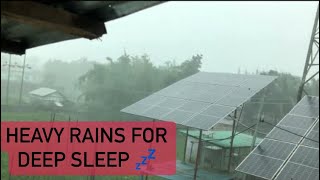 Rain Sounds for Sleeping Heavy Rain and Thunderstorm Sounds for Sleeping // torrential rain