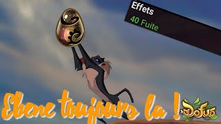 Un Ebène ? Toujours viable ? Enutrof air lvl 199 farm *Dofus*