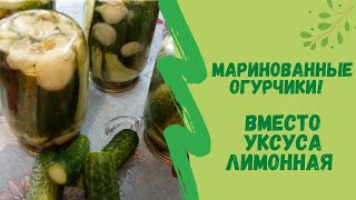 МАРИНОВАННЫЕ ОГУРЧИКИ! ВКУСНЫЕ! БЕЗ ЛИШНИХ ХЛОПОТ И СТЕРИЛИЗАЦИИ! ВМЕСТО УКСУСА  ЛИМОННАЯ КИСЛОТА!