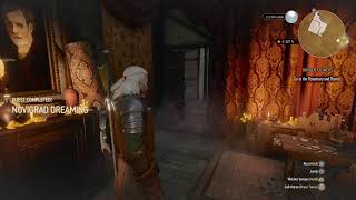 The Witcher 3 Lvl 100 Casual Gameplay (All Cutscenes and Dialogue)