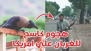 هجوم غربان 🐦‍⬛ علي الناس في أمريكا - وعلامات الساعه تظهر في السعودية 🇸🇦