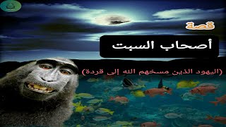 قصة أصحاب السبت| قصص القرآن الكريم