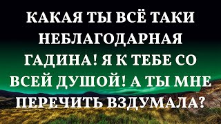 Какая ты всё таки неблагодарная гадина! Я к тебе со всей душой! А ты мне перечить вздумала?