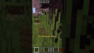 elrejtetem egy titkos üzenete a #minecraftban #foryou