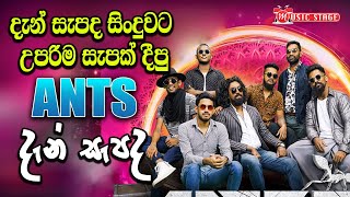 දැන් සැපද | Den Sepada With Antz Band