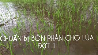 Máy bơm nước vào ruộng lúa chuẫn bị bón phân đợt 1 / lúa non 10 ngày...