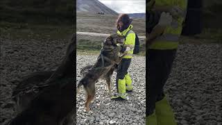 The joyful scene of seeing Svalbard Huskies for the first time