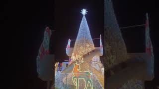 Christmas in the air!! Zenith Bank Lights up Lagos.. #youtubemadeforyou #shorts #vlogmas