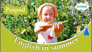 Песенка на английском про горошек. Peapod. Песни на английском для детей. English summer. Stigis