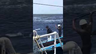 😱😱 tens of tons of fish gathered near the ship. Anglers overwhelmed 😂🇯🇵 #fishing #fisherman