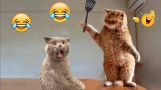 Funniest Cats And Dogs Videos 😂 - Best Funny Animal Videos 2023 😅 #2