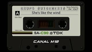 GRUPO SUIGENERIS_ SHE'S LIKE THE WIND