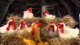 Muppet Chickens - Baby Face