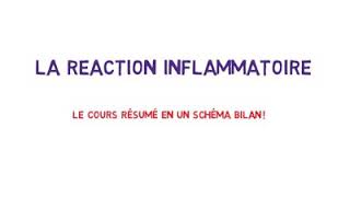 La réaction inflammatoire en détail